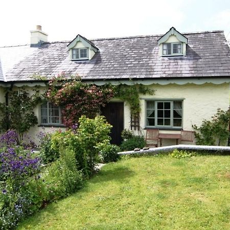 Parc y Brenin Villa Dryslwyn Exterior foto